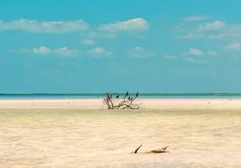 Isla de Pasión Holbox
