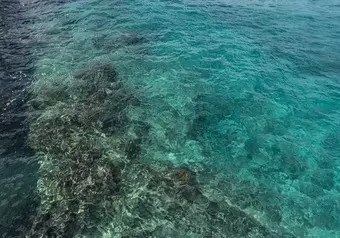 Cozumel