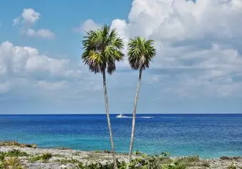 Cozumel