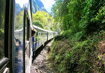 Tren a Machu Picchu desde Cusco/Urubamba/Ollantaytambo_galeria_2906