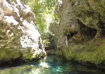 Visita a Cenote Cristalino o Jardín del Eden y Playa Xpu-ha_galeria_4182