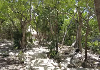 Visita a Cenote Cristalino o Jardín del Eden y Playa Xpu-ha_galeria_9417