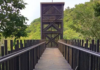 Puente Jardín Botánico Acapulco
