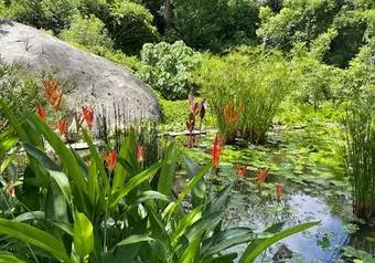 Estanques Jardín Botánico Acapulco