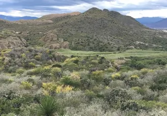 Yagul Paisaje