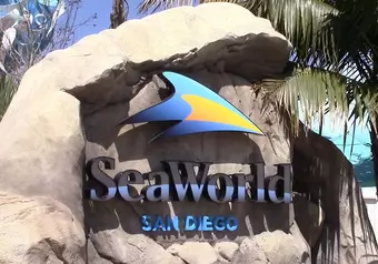 Visitar SeaWorld en San Diego_galeria_6015