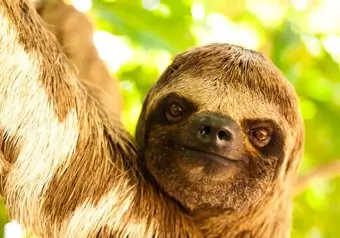 Vive la Belleza y Diversidad de la Vida Silvestre en el Zoo Ave Zoológico_galeria_2794