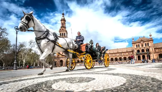 Día 4: Sevilla, España