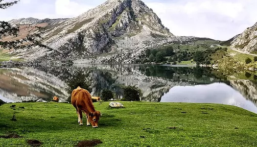 Día 6: Asturias, España
