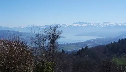 Día 4: Zurich, Suiza