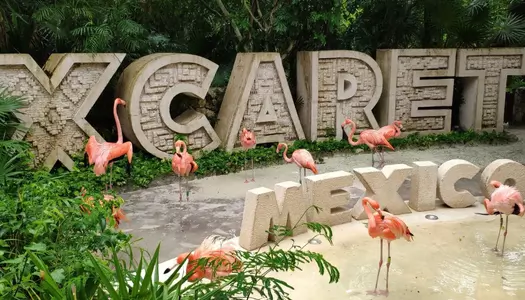 Día 3: Cancun (y alrededores), México