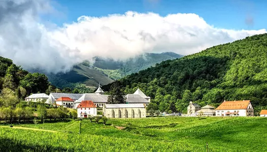 Día 3: Navarra, España
