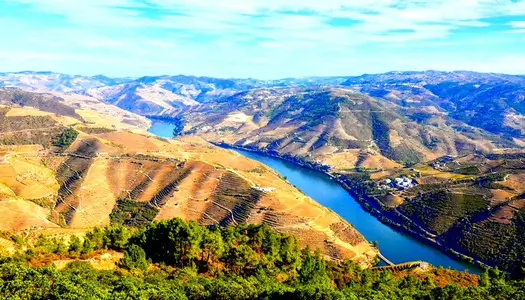 Día 5: Oporto y Norte de Portugal, Portugal