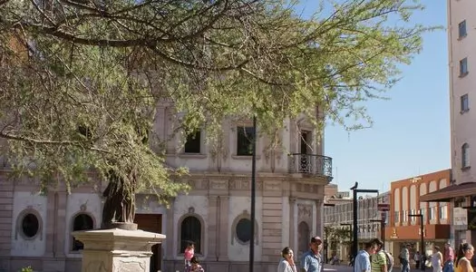 Día 6: Chihuahua, México