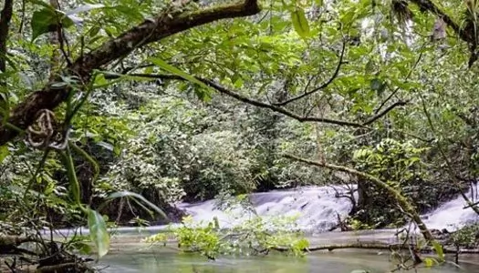 Día 5: Palenque, México