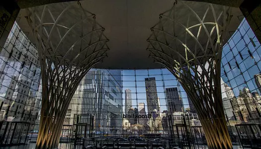 Día 7: Nueva York, Estados Unidos