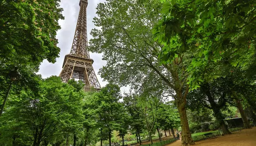 Día 9: Venecia, Italia - Paris, Francia