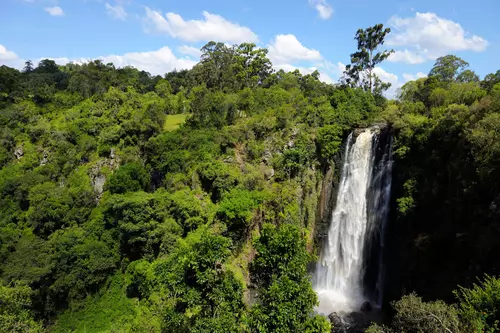Día 03 – Montes Aberdare / Lago Nakuru