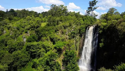 Día 3: Lago Nakuru