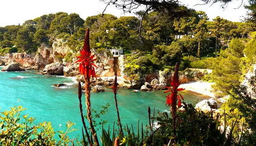 Día 11: Cannes, Francia