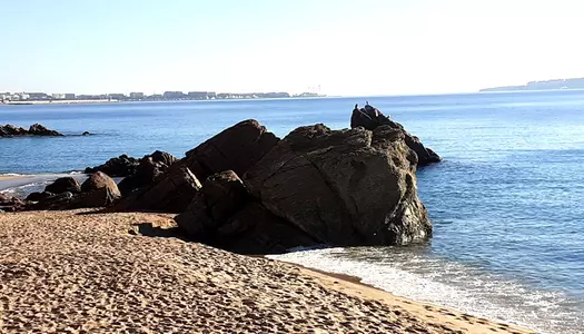Día 12: Cannes, Francia