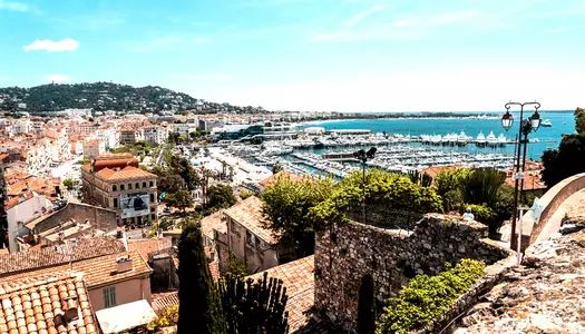 Día 4: Cannes, Francia