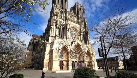 Día 4: Reims, Francia