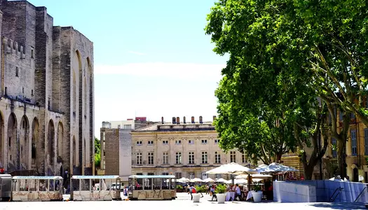 Día 5: Avignon, Francia
