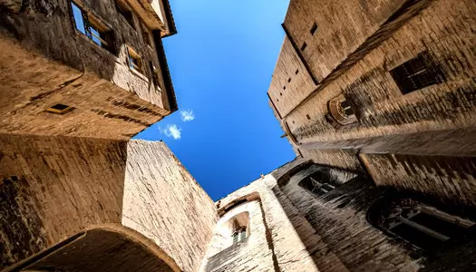 Día 4: Avignon, Francia
