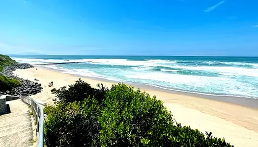 Día 8: Biarritz, Francia