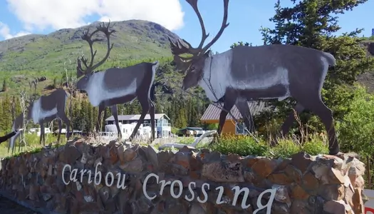 Día 6: Whitehorse, Canadá