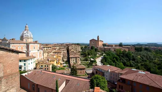 Día 14: Siena, Italia