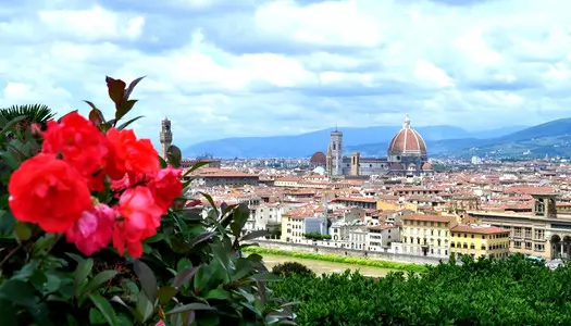 Día 17: Lucca, Italia - Florencia, Italia