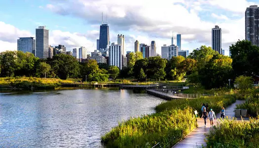 Día 6: Chicago - IL, Estados Unidos