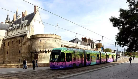 Día 5: Paris, Francia - Nantes, Francia