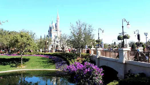 Día 6: Orlando Area - FL, Estados Unidos