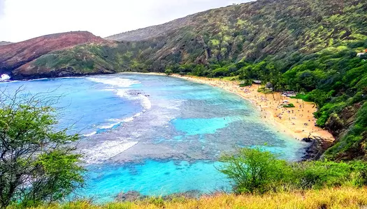 Día 4: Hawaii - Oahu - HI, Estados Unidos