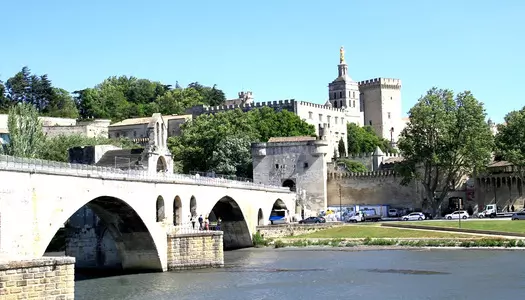 Día 8: Montpellier, Francia - Avignon, Francia