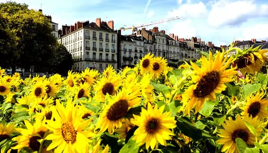 Día 1: Nantes, Francia