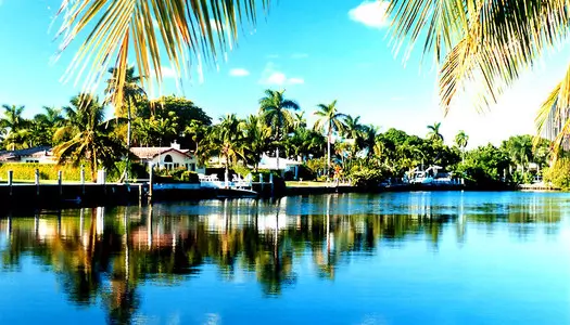 Día 7: Fort Lauderdale - Hollywood Area - FL, Estados Unidos