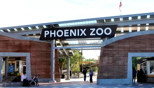 Día 4: Phoenix Area - AZ, Estados Unidos