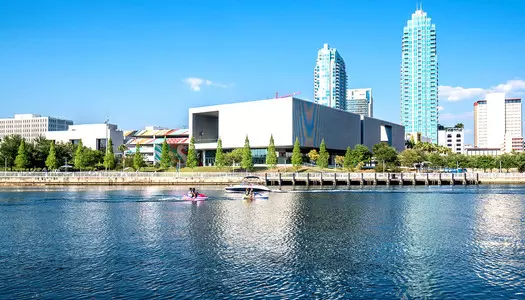 Día 10: Tampa - FL, Estados Unidos