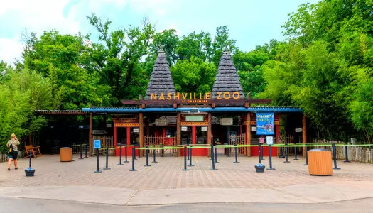 Día 3: Nashville - TN, Estados Unidos