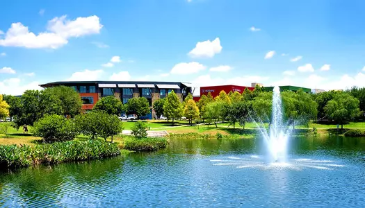 Día 7: Austin - TX, Estados Unidos