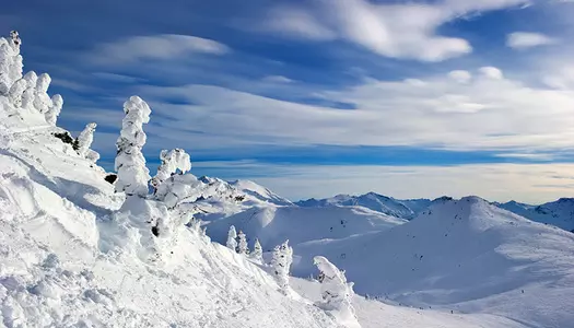 Día 14: Whistler, Canadá