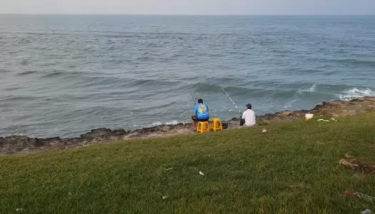 Día 4: Veracruz, México