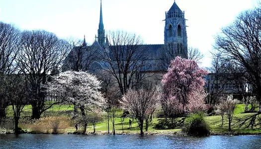 Día 3: Newark - CA, Estados Unidos