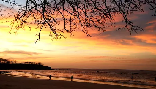 Día 2: Tamarindo, Costa Rica