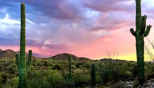 Día 2: Tucson - AZ, Estados Unidos