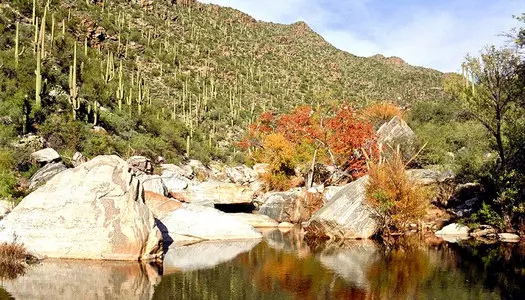 Día 5: Tucson - AZ, Estados Unidos